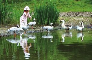 關(guān)于人與自然和諧共生，二十大報(bào)告中這樣說